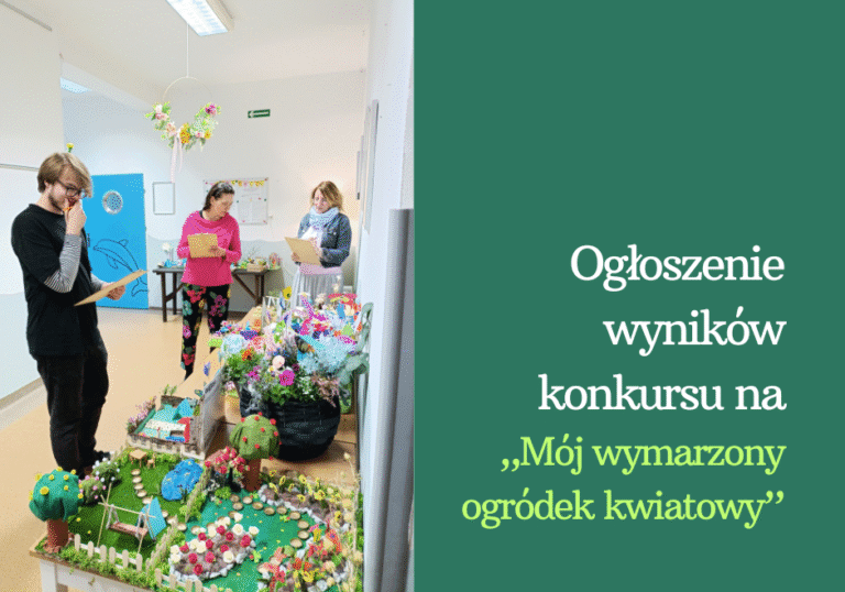 Wyniki konkursu